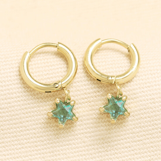 Stainless Steel Birthstone Star Charm Huggie Hoop Earrings in Gold - December