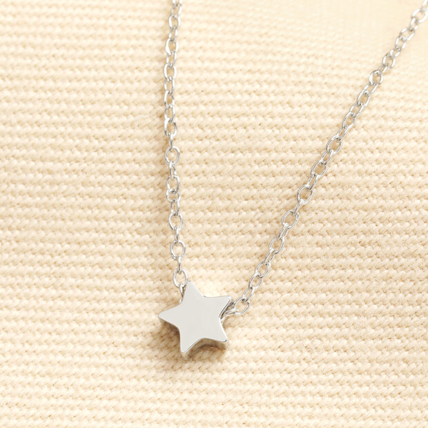 Stainless Steel Star Charm Necklace in Silver