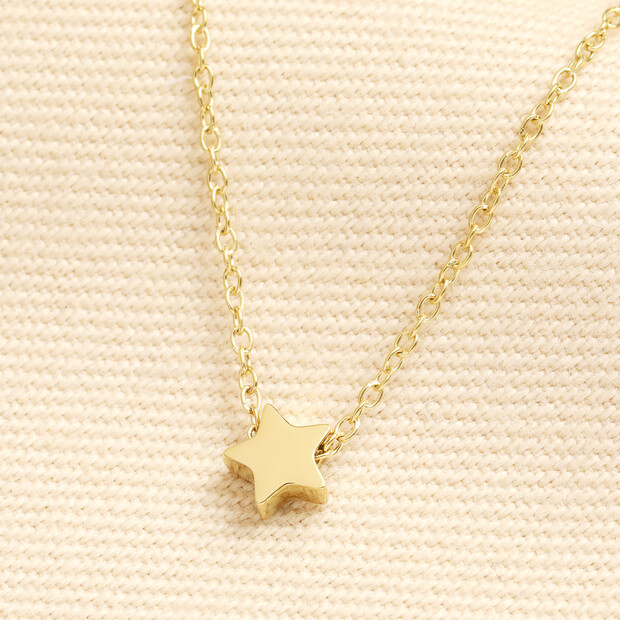 Stainless Steel Star Charm Necklace in Gold
