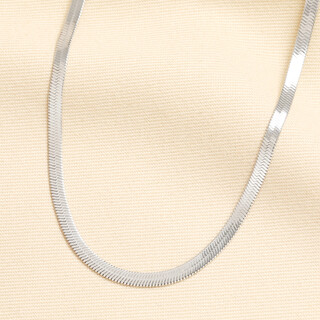 Stainless Steel Herringbone Chain Necklace in Silver