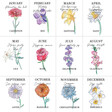 Birth Flower Options for Personalised Birth Flower 200ml Gin