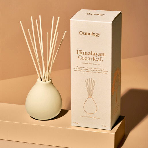 Osmology Himalayan Cedarleaf reed diffuser in neutral clay pot beside matching packaging box