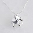 Lisa Angel Ladies' Delicate Silver Elephant Pendant Necklace for Her