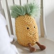 Lisa Angel with Cuddly Jellycat Amuseable Pineapple Soft Toy