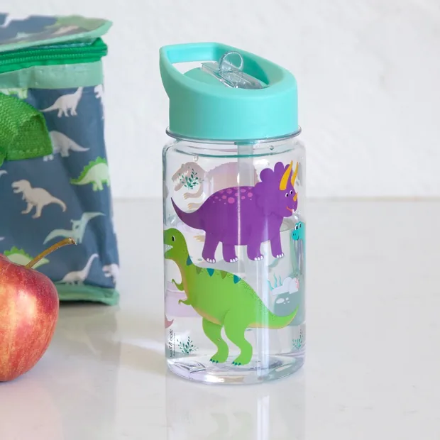 Sass & Belle Roarsome Dinosaurs Water Bottle