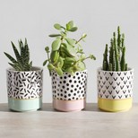 Sass & Belle Set of 3 'Memphis Modern' Mini Planters