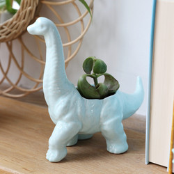 Green Diplodocus Dinosaur Planter, H8cm