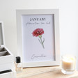 Lisa Angel Ladies' A4 Birth Flower Print - January