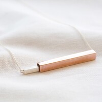 Silver and Rose Gold Secret Bar Pendant Necklace