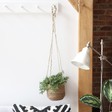Hanging Seagrass Plant Pot