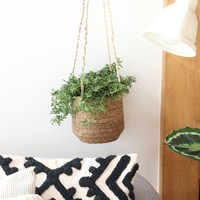 Hanging Seagrass Plant Pot, H17cm