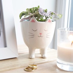 Standing Cat Planter, H10cm