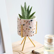Terrazzo Print Mini Planter and Stand From Lisa Angel