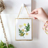 Pressed Flowers Hanging Frame
