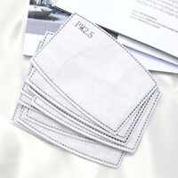Pack of 10 Face Mask Replacement Filters