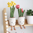 Lisa Angel Cute Jellycat Amuseable Flower Pot Soft Toys