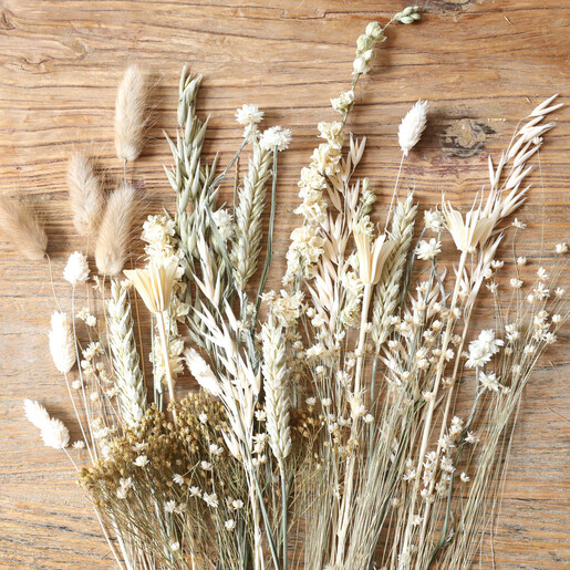 Assorted Dried Flowers & Grasses in Letter Box Kit