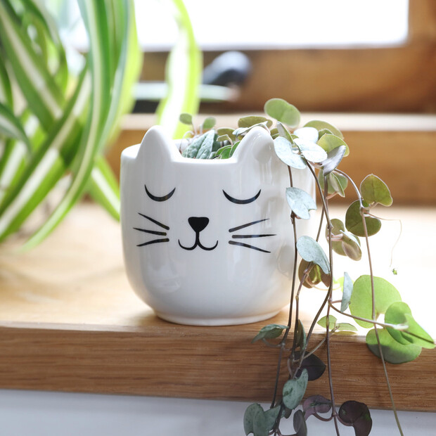 Sass & Belle Cat's Whiskers Mini Planter, H6.5cm