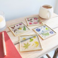 Sass & Belle Set of 4 Flower Print Glass Coasters