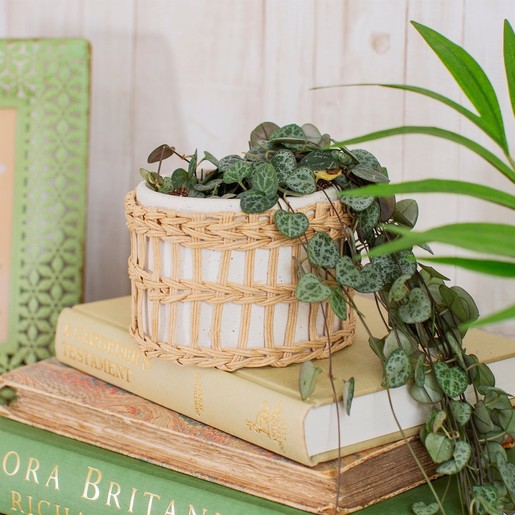 Lisa Angel Sass & Belle Speckled White & Woven Planter