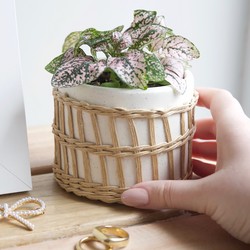 Sass & Belle Speckled White & Woven Planter, H8.5cm