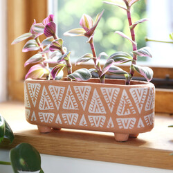 Sass & Belle Terracotta Trough Planter, H8cm