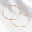 Ladies' Delicate Geometric Hoop Earrings in Rose Gold