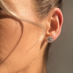 Real Pressed Forget Me Not Flower Stud Earrings in Gold