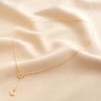 Lisa Angel Moon and Sun Lariat Necklace in Gold
