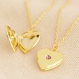 Lisa Angel Delicate Birthstone Heart Locket Necklace in Gold