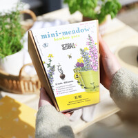 Mini Meadow Bee Mix Seed Balls and Bamboo Pots Gift Set