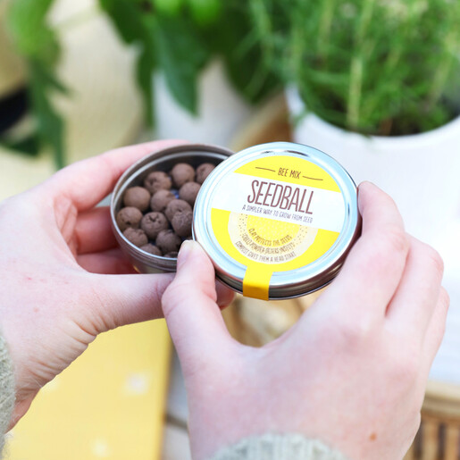 Lisa Angel Tin of Bee Mix Seed Balls