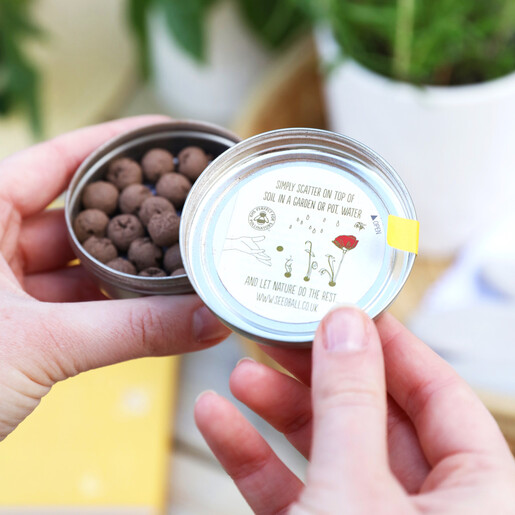 Lisa Angel Easy to Use Tin of Bee Mix Seed Balls