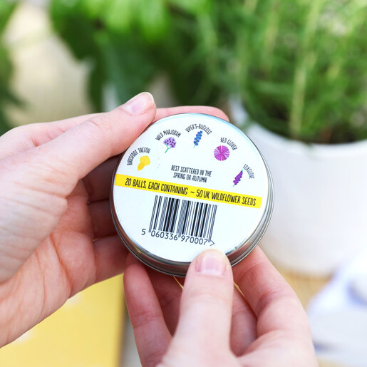 Lisa Angel Natural Tin of Bee Mix Seed Balls