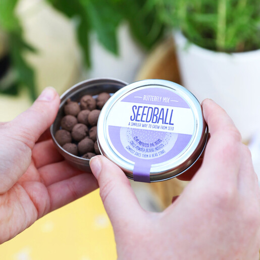 Lisa Angel Tin of Butterfly Mix Seed Balls