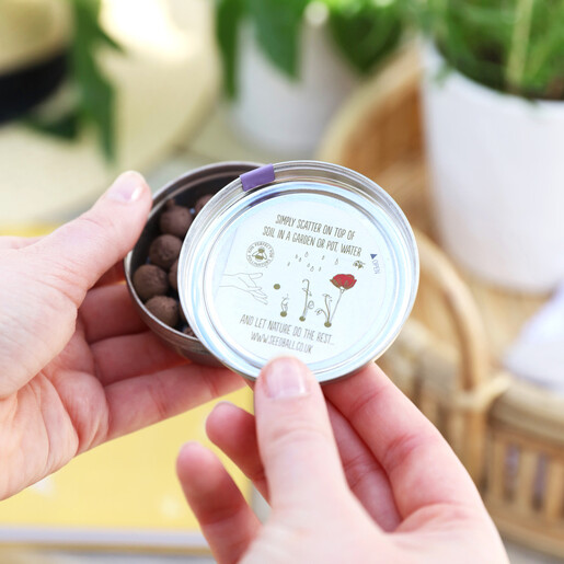 Lisa Angel Easy to Use Tin of Butterfly Mix Seed Balls