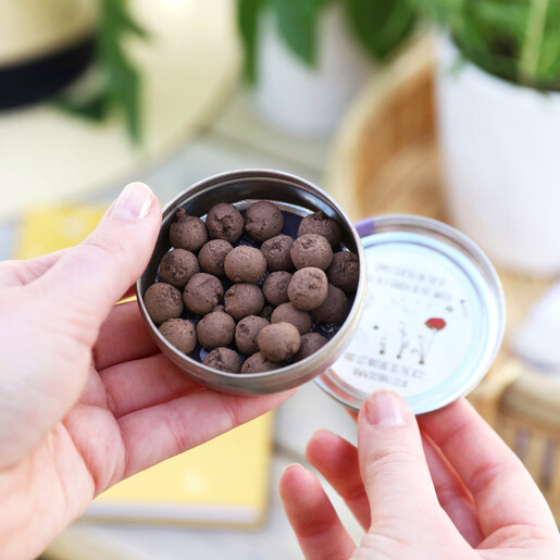 Lisa Angel Fab Tin of Butterfly Mix Seed Balls