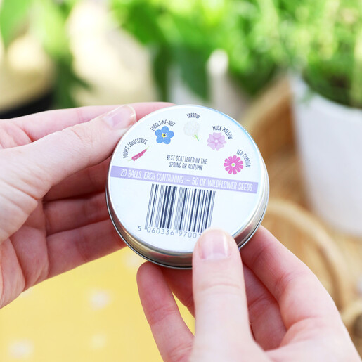 Lisa Angel Fun Tin of Butterfly Mix Seed Balls