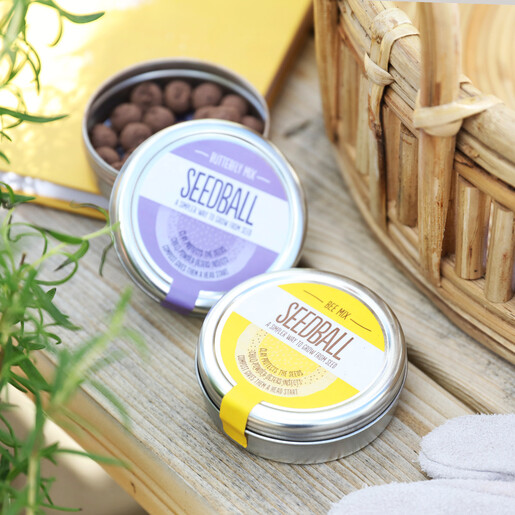 Lisa Angel Tin of Insect Mix Seed Balls