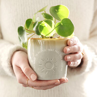 Glazed Ombré 'Sunshine Friends' Planter, H9cm