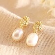 Lisa Angel Ladies' Gold Organic Finish Pearl Drop Earrings