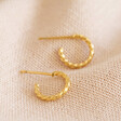 Stainless Steel Twisted Mini Hoops In Gold From Lisa Angel