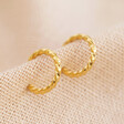 Elegant Stainless Steel Twisted Mini Hoops In Gold From Lisa Angel
