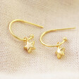 Lisa Angel Ladies' Star Charm Hoop Earrings in Gold