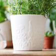 Lisa Angel Ceramic Wildflower Planter