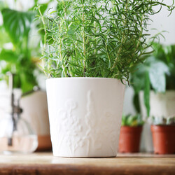 Ceramic Raised Wildflower Planter, H12cm