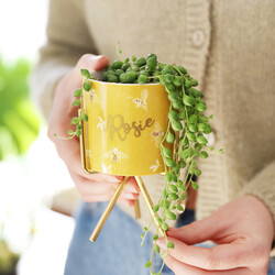 Personalised Yellow Bee Print Mini Planter and Stand, H14cm