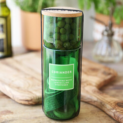 Hydro Herb Grow Your Own Coriander Kit