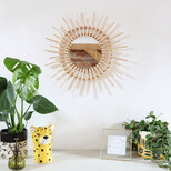 Bamboo Starburst Mirror