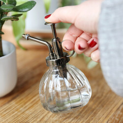 Clear Glass Plant Mister